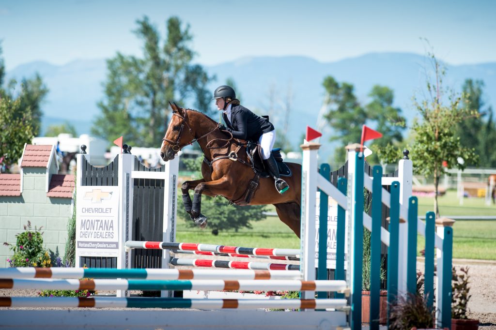 Horse and rider competing in show jumping at Rebecca Farm